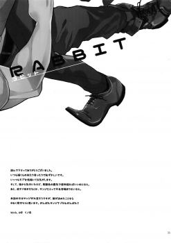 (C90) [Kyozoya (Kunoichi)] RABBIT (One Piece) - page 36