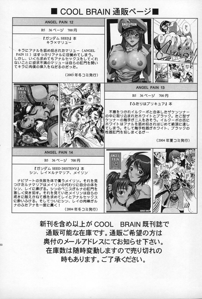 (C68) [Cool Brain (Kitani Sai)] ANGEL PAIN 15 (Gundam SEED Destiny) page 29 full