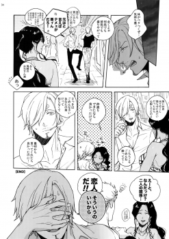 (C90) [Kyozoya (Kunoichi)] RABBIT (One Piece) - page 35