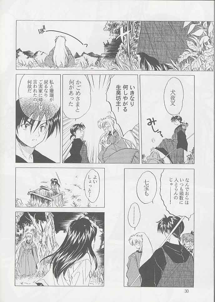 (C59) [Toko-ya (Kitoen)] Tasukurumono (red cover) (Inu Yasha) page 29 full