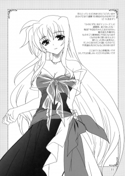(C74) [PLUM (Kanna)] Mahou Shoujo Magical SEED OTHER (Mahou Shoujo Lyrical Nanoha) [English] [Slayerjammer] - page 10