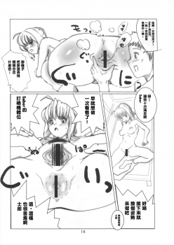 (C73) [Yami ni Ugomeku (Dokurosan)] Shirou, Sonna ni Koko ga Mitai no desu ka? (Fate/stay night) [Chinese] [臭鼬娘漢化組] - page 14