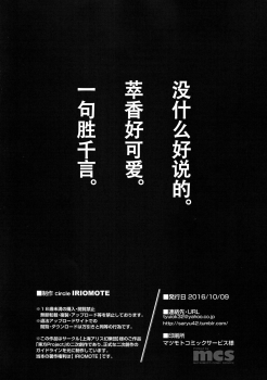 (Kouroumu 12) [IRIOMOTE (Saryuu)] Suika ni Kinshu Kaikin Sasete Sekurosu Suru Hon (Touhou Project) [Chinese] [脸肿汉化组] - page 18