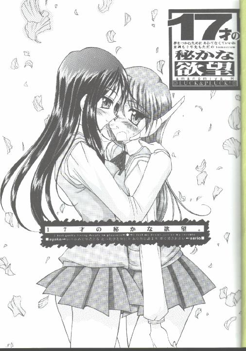 (C57) [LUCK&PLUCK!Co. (Amanomiya Haruka)] 17 Sai no Hisoka na Yokubou (To Heart) page 2 full