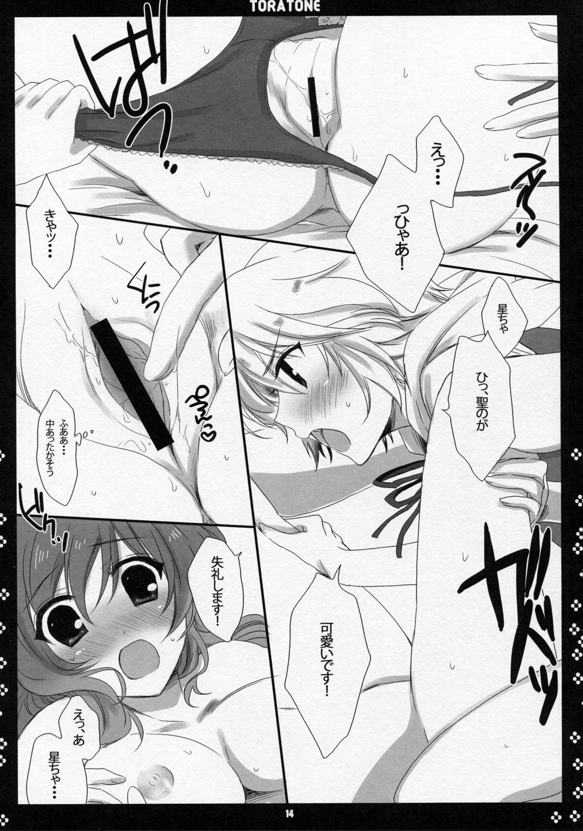 (Kouroumu 5) [Nimame (Nakayama Miyuki)] TORATONE (Touhou Project) page 13 full