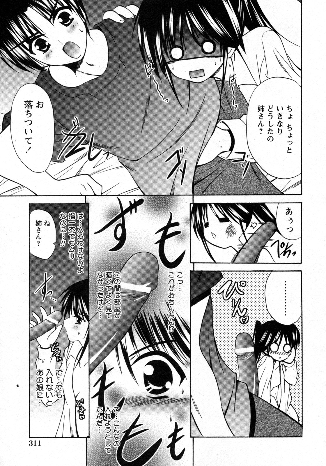 COMIC Hime Dorobou 2009-09 page 310 full