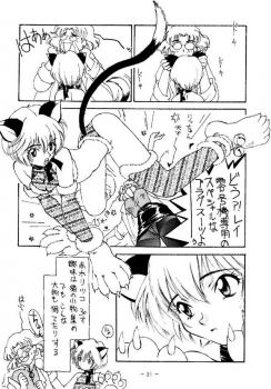 (C49) [Chanbara! (Kimuraya Izumi)] Eve Ver 1.0 (Neon Genesis Evangelion) - page 30