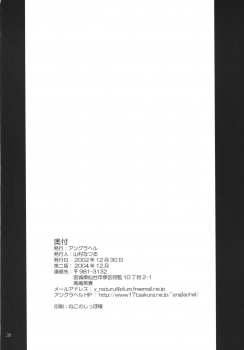 (C63) [Anglachel (Yamamura Natsuru)] Insanity (King of Fighters, Street Fighter) [2nd Edition 2004-12] - page 29
