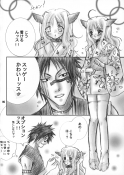 (C70) [SAKURAEN (Suzume, Okada Reimi)] Himegimi to Inu (Bleach) - page 5