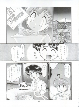(CR16) [Sairo Publishing (J.Sairo)] Yamainu Vol. 1 (Slayers, Bishoujo Senshi Sailor Moon) - page 33