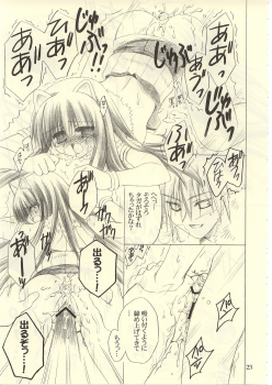[UNISEX BLEND (Fujimiya Misuzu)] Ragnakko 6 (Ragnarok Online) - page 22