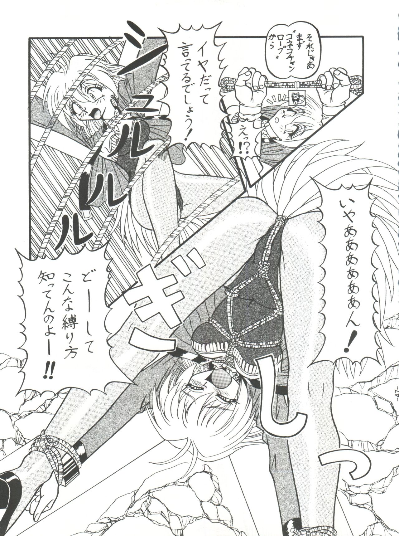 (C54) [Himawari Endan (Chunrouzan, Gakimagari)] BTB-23 DOUBLE INCOME (Lost Universe) page 49 full