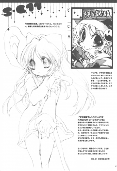 (C75) [AQUA-BRAND (Sagano Aoi)] SAMPLE-CSS 11 - page 40