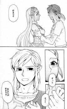 (ALL STAR 9) [CURSOR (Satou)] Ashita no Watashi-tachi (The Legend of Zelda) - page 21