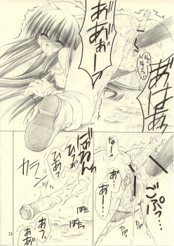 [UNISEX BLEND (Fujimiya Misuzu)] Ragnakko 6 (Ragnarok Online) - page 23