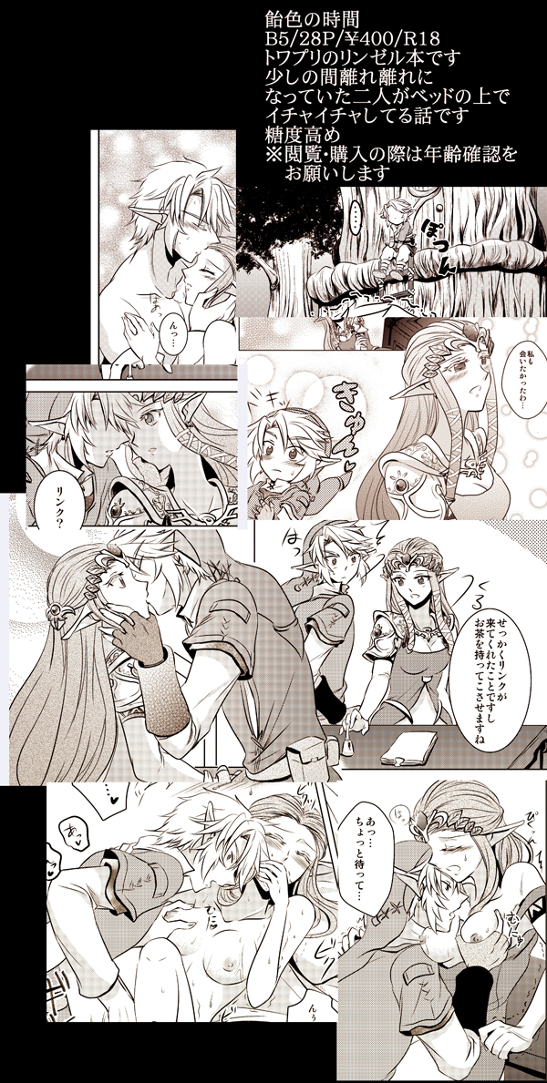 (SUPER25) [Sakurakan (Kaidou Mizuki)] Ameiro no Jikan (The Legend of Zelda) [Sample] page 6 full