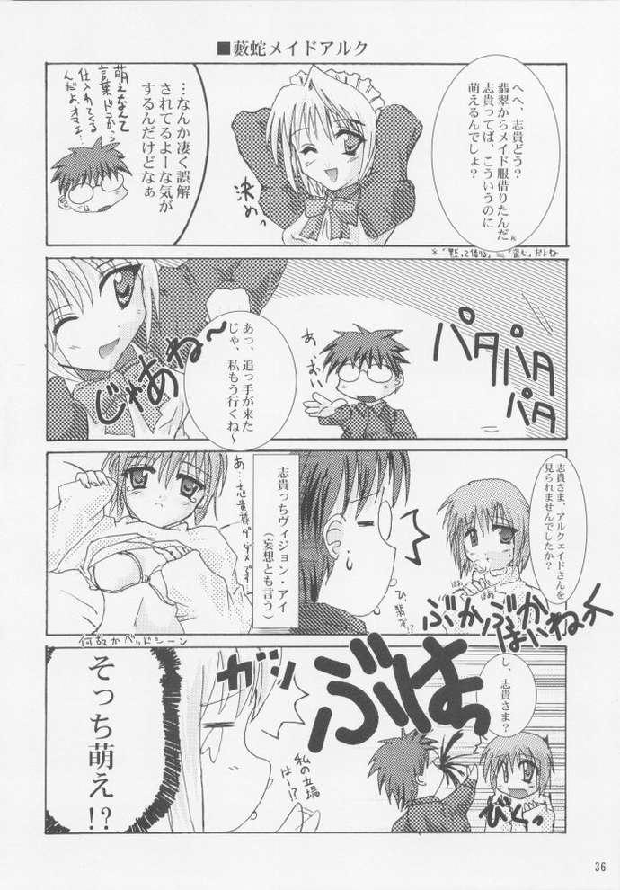 [A' (bebe)] Rakuyou Shuugetsu (Tsukihime) page 34 full