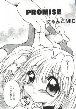 [doujinshi anthology] Moe Chara Zensho Vol.  2 (Kasumin, Pretty Sammy, Card Captor Sakura, Tokyo Mew Mew) - page 4