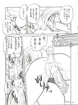 (C54) [Himawari Endan (Chunrouzan, Gakimagari)] BTB-23 DOUBLE INCOME (Lost Universe) - page 27