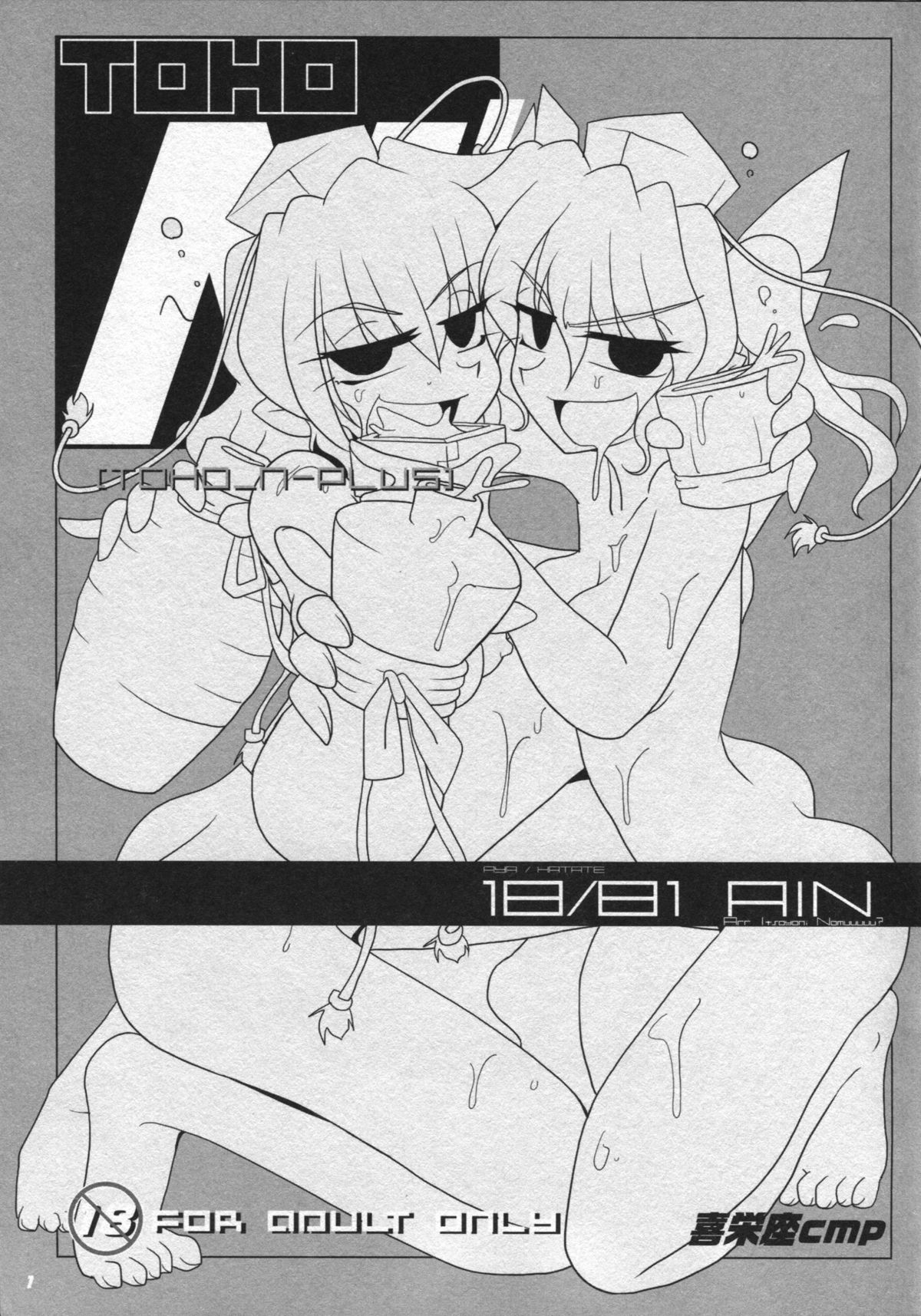 (C81)[Kieyza cmp (Kieyza)] TOHO N+ 81 AIN (Touhou Project) page 3 full