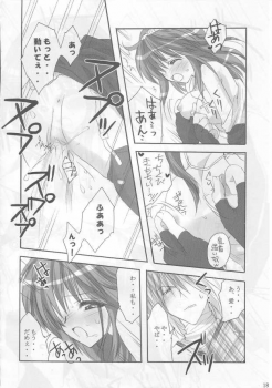 (C65) [MiyuMiyu Project (Kanna Satsuki)] Ai ni oboreru tsukiyo II (Ragnarok Online) - page 17