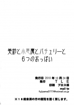 (Kouroumu 6) [TLE (Fujiyama Takashi)] Meiling to Koakuma to Patchouli to Muttsu no Oppai (Touhou Project) - page 18