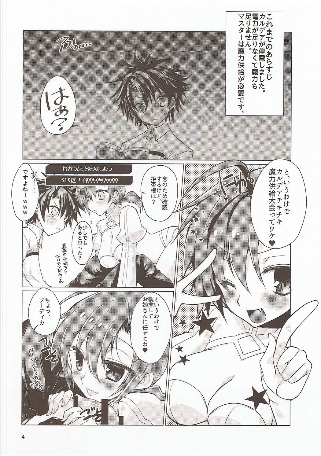 (CT29) [Nekomarudow (Tadima Yoshikadu)] FGO no Usui Hon. (Fate/Grand Order) page 3 full