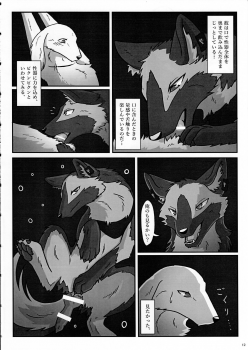 (Kansai! Kemoket 3) [KTQ48 (Various)] KTQ 7 - page 12