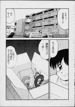 (C56) [M.R Products] Fancia Ikusei Nikki (Fancia) - page 8