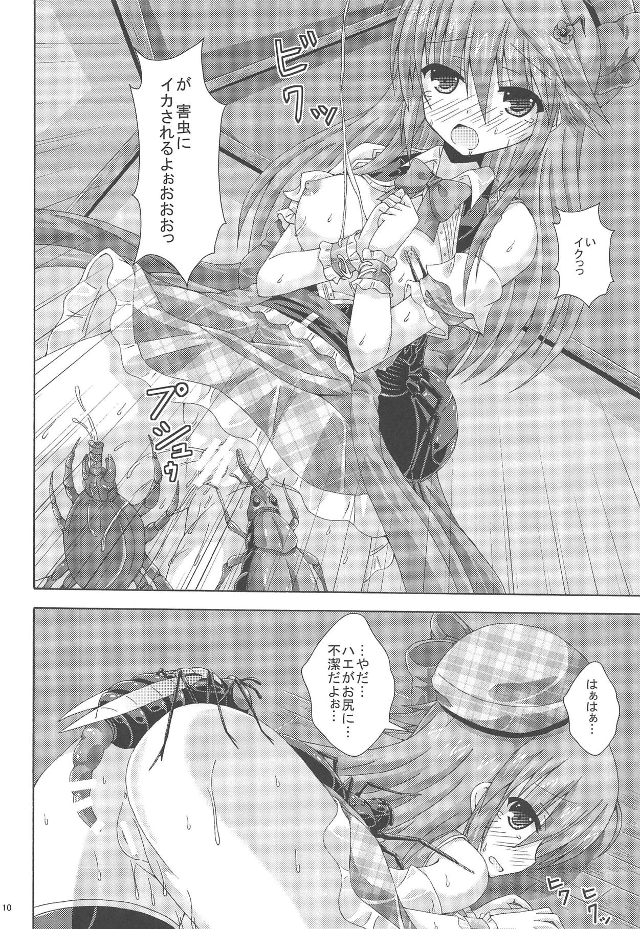 (C95) [Dream Project (Yumeno Shiya)] Gaichuu-tachi no Koukasai (Flower Knight Girl) page 9 full