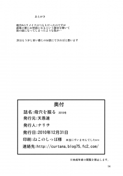 (C79) [Tenguren (Nario)] Boketsu o Horu 2010 Fuyu - page 13