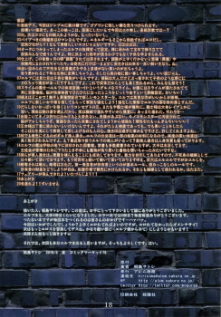 (C78) [Alem Gakan (Kirishima Satoshi)] Tetsu no Kagi - page 18