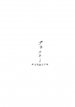 (C88) [A-ne (Hoozuki Shia)] Filthy amour (Touhou Project) - page 2