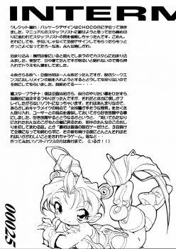 [Z-VECTOR (Nadeara Bukichi)] STAR PLATINUM ARCETYPE - page 25