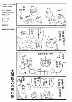 (C94) [abgrund (Saikawa Yusa)] Natsu no Mesmerism 2 [Chinese] [无毒汉化组] - page 17