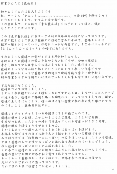 (Mimiket 19) [P.S.D! (Karin)] Touhou Ran Ranryuu (Touhou Project) - page 4