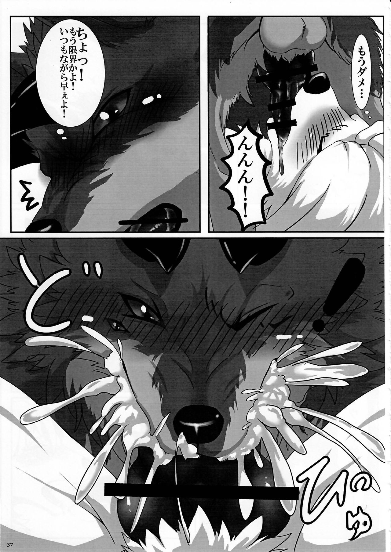 (Kansai! Kemoket 3) [KTQ48 (Various)] KTQ 7 page 37 full