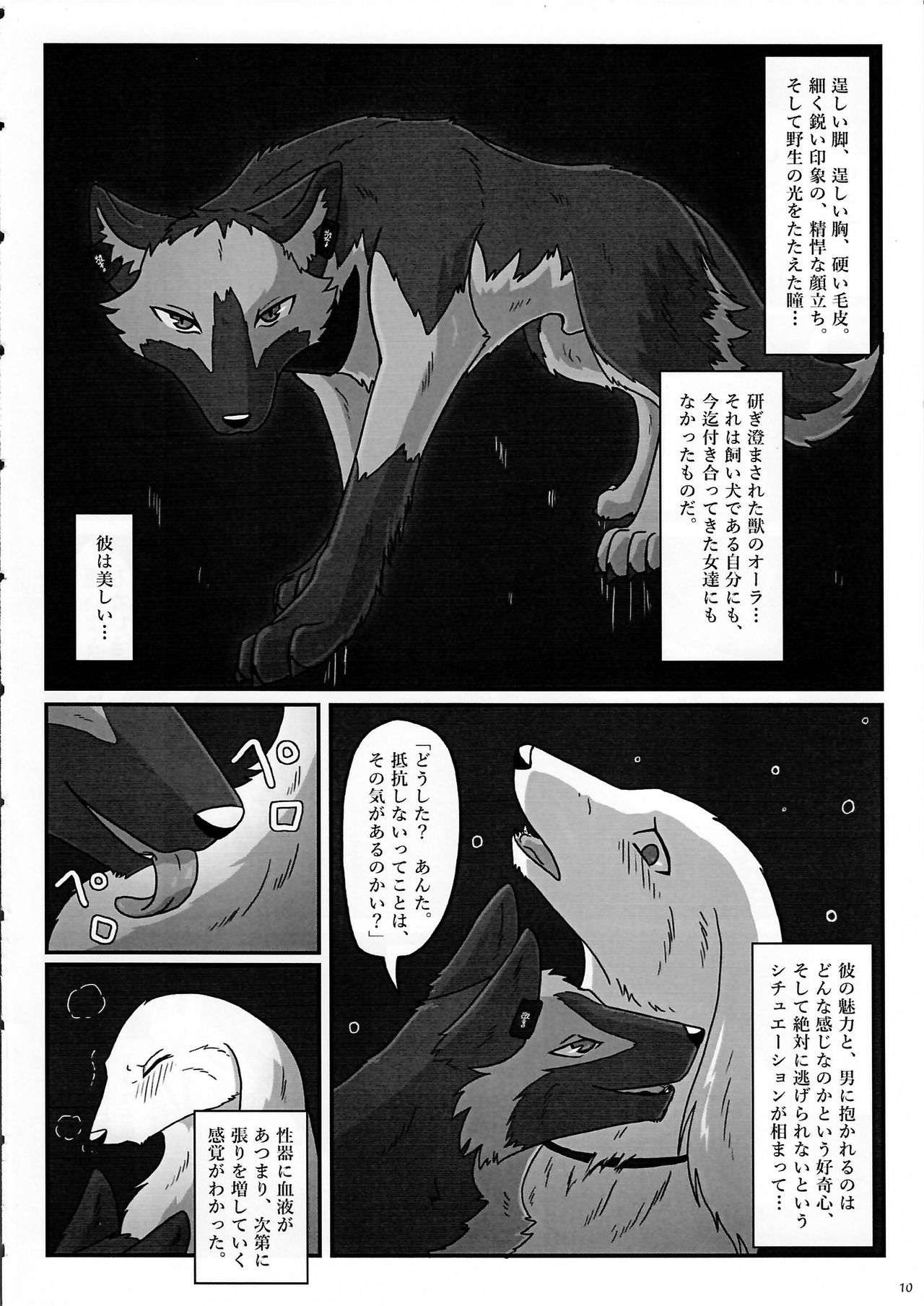 (Kansai! Kemoket 3) [KTQ48 (Various)] KTQ 7 page 10 full